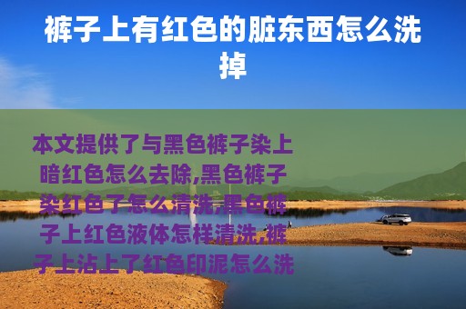 裤子上有红色的脏东西怎么洗掉