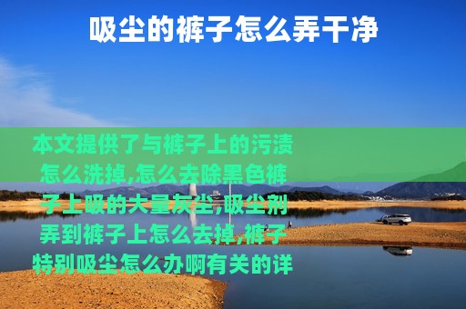 吸尘的裤子怎么弄干净