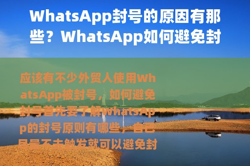 WhatsApp封号的原因有那些？WhatsApp如何避免封号