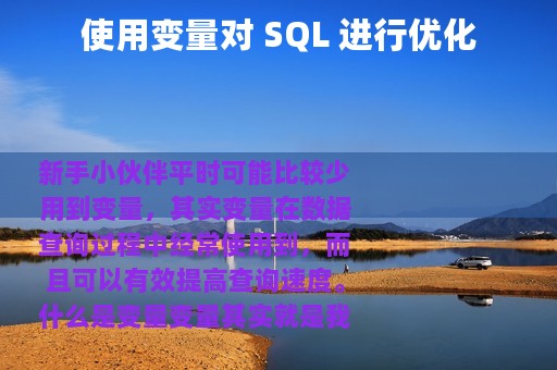 使用变量对 SQL 进行优化