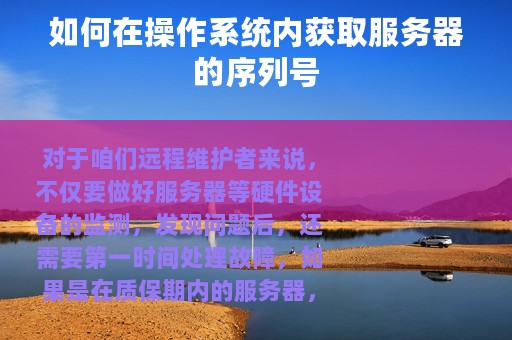如何在操作系统内获取服务器的序列号