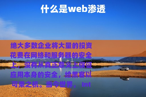 什么是web渗透