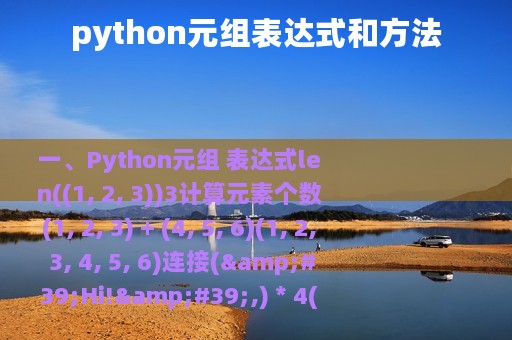 python元组表达式和方法