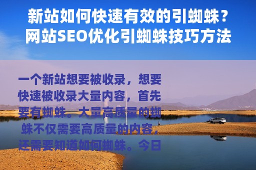 新站如何快速有效的引蜘蛛？网站SEO优化引蜘蛛技巧方法