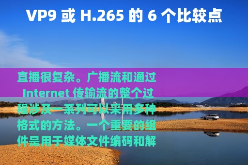 VP9 或 H.265 的 6 个比较点