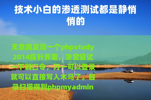 技术小白的渗透测试都是静悄悄的