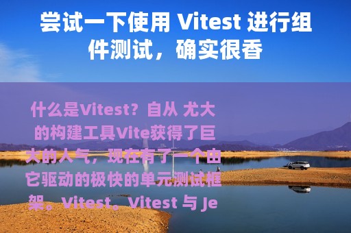 尝试一下使用 Vitest 进行组件测试，确实很香