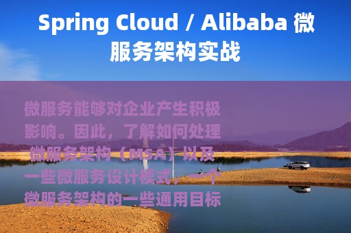 Spring Cloud / Alibaba 微服务架构实战