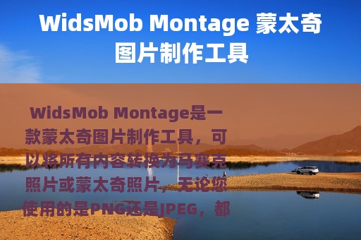 WidsMob Montage 蒙太奇图片制作工具