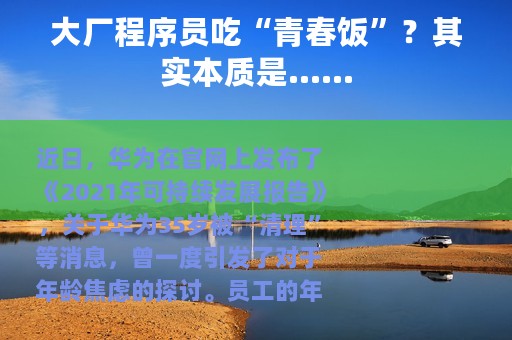 大厂程序员吃“青春饭”？其实本质是……