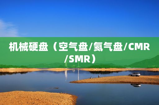 机械硬盘（空气盘/氦气盘/CMR/SMR）