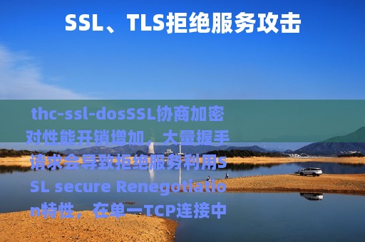 SSL、TLS拒绝服务攻击