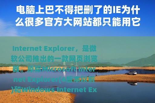 电脑上巴不得把删了的IE为什么很多官方大网站都只能用它？