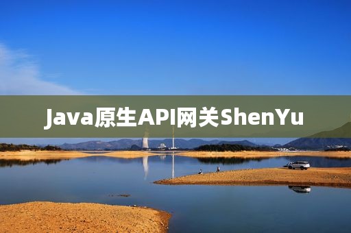 Java原生API网关ShenYu