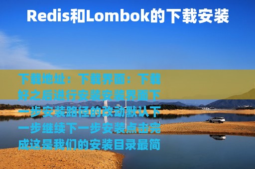 Redis和Lombok的下载安装