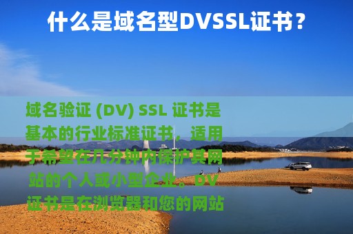 什么是域名型DVSSL证书？