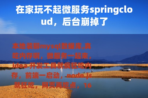 在家玩不起微服务springcloud，后台崩掉了