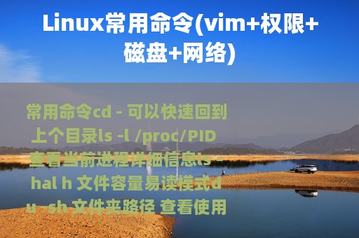 Linux常用命令(vim+权限+磁盘+网络)