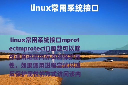 linux常用系统接口