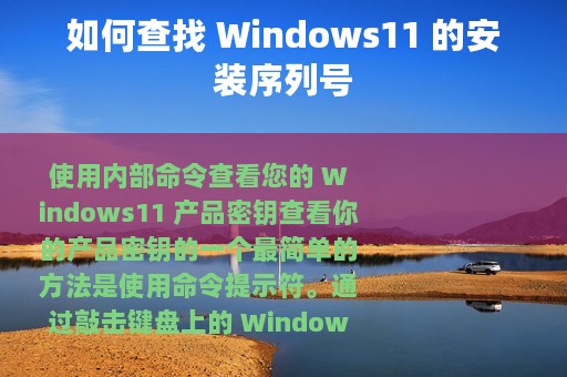 如何查找 Windows11 的安装序列号