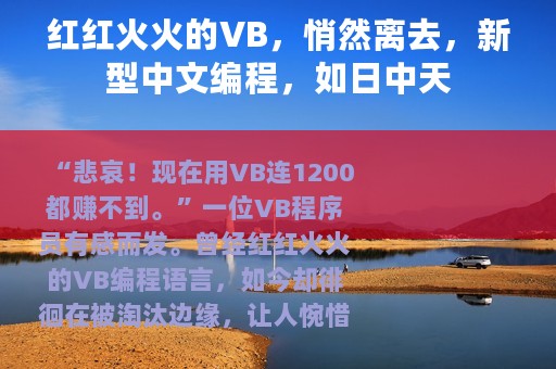 红红火火的VB，悄然离去，新型中文编程，如日中天