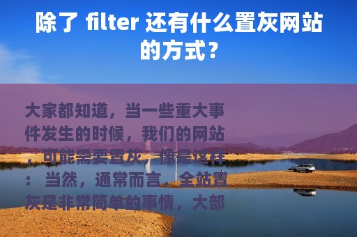 除了 filter 还有什么置灰网站的方式？
