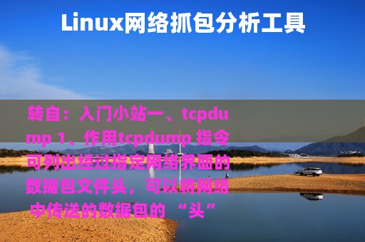 Linux网络抓包分析工具