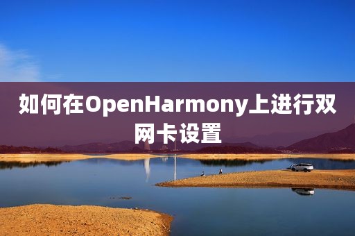 如何在OpenHarmony上进行双网卡设置
