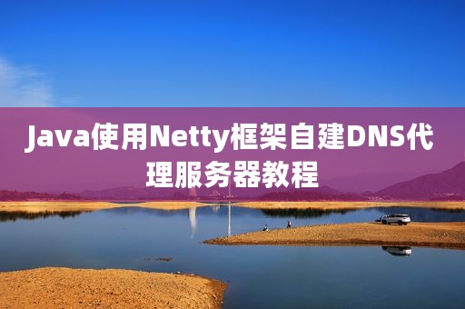 Java使用Netty框架自建DNS代理服务器教程