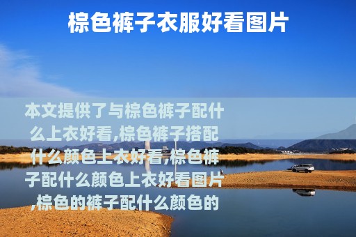 棕色裤子衣服好看图片