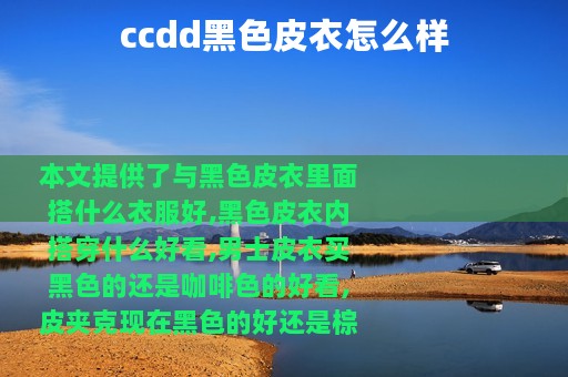 ccdd黑色皮衣怎么样