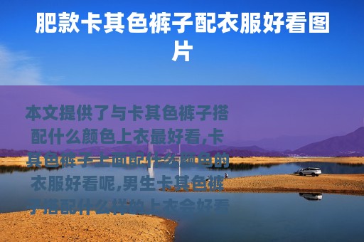 肥款卡其色裤子配衣服好看图片