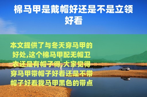 棉马甲是戴帽好还是不是立领好看