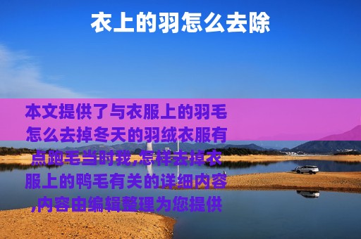 衣上的羽怎么去除