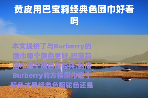 黄皮用巴宝莉经典色围巾好看吗