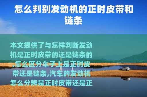 怎么判别发动机的正时皮带和链条