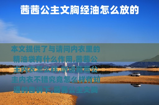 茜茜公主文胸经油怎么放的