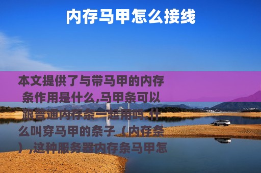 内存马甲怎么接线