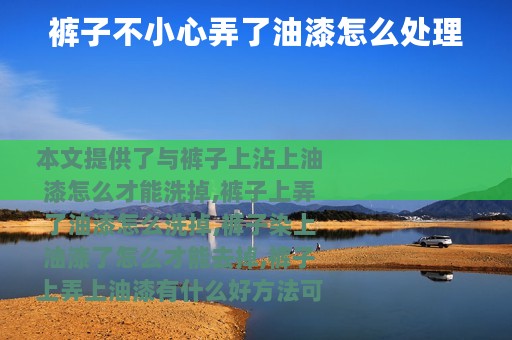 裤子不小心弄了油漆怎么处理