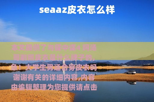 seaaz皮衣怎么样