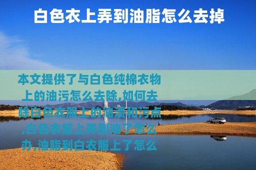 白色衣上弄到油脂怎么去掉