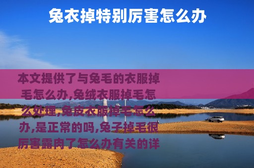 兔衣掉特别厉害怎么办