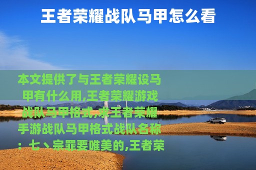 王者荣耀战队马甲怎么看