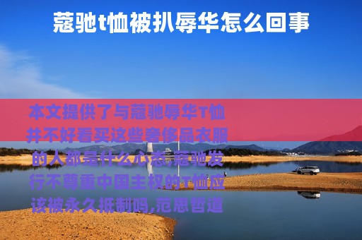 蔻驰t恤被扒辱华怎么回事