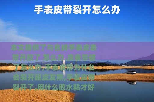 手表皮带裂开怎么办