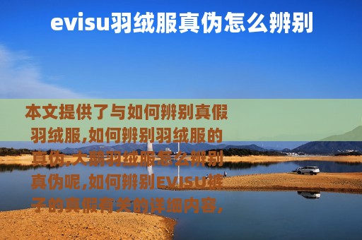 evisu羽绒服真伪怎么辨别