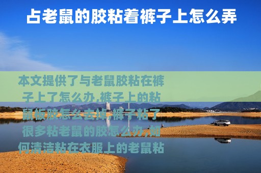 占老鼠的胶粘着裤子上怎么弄