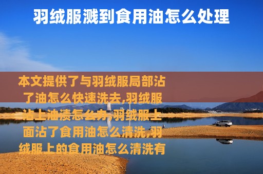 羽绒服溅到食用油怎么处理