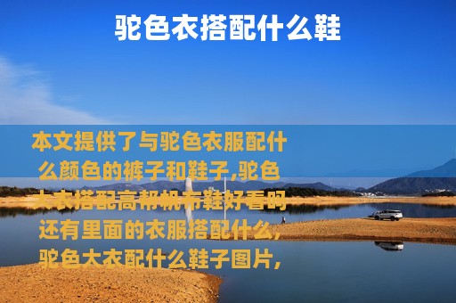 驼色衣搭配什么鞋