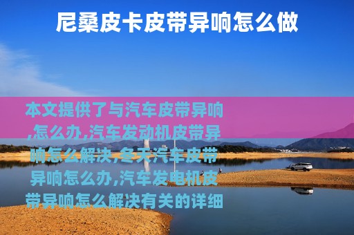 尼桑皮卡皮带异响怎么做